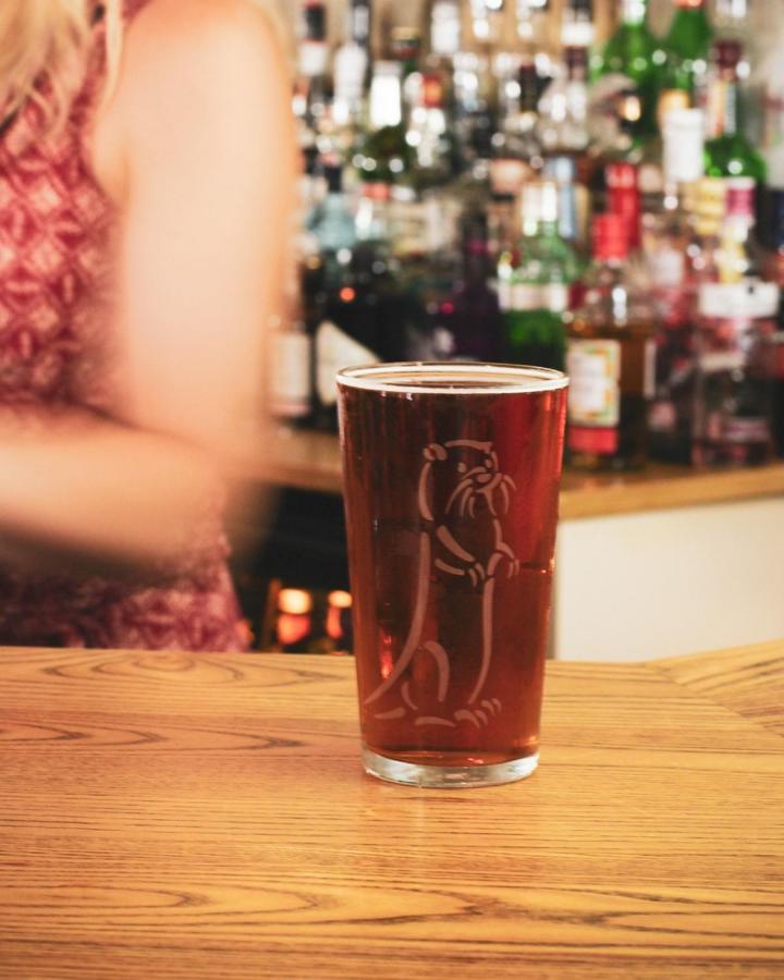 The Five Dials Inn Ilminster Ngoại thất bức ảnh